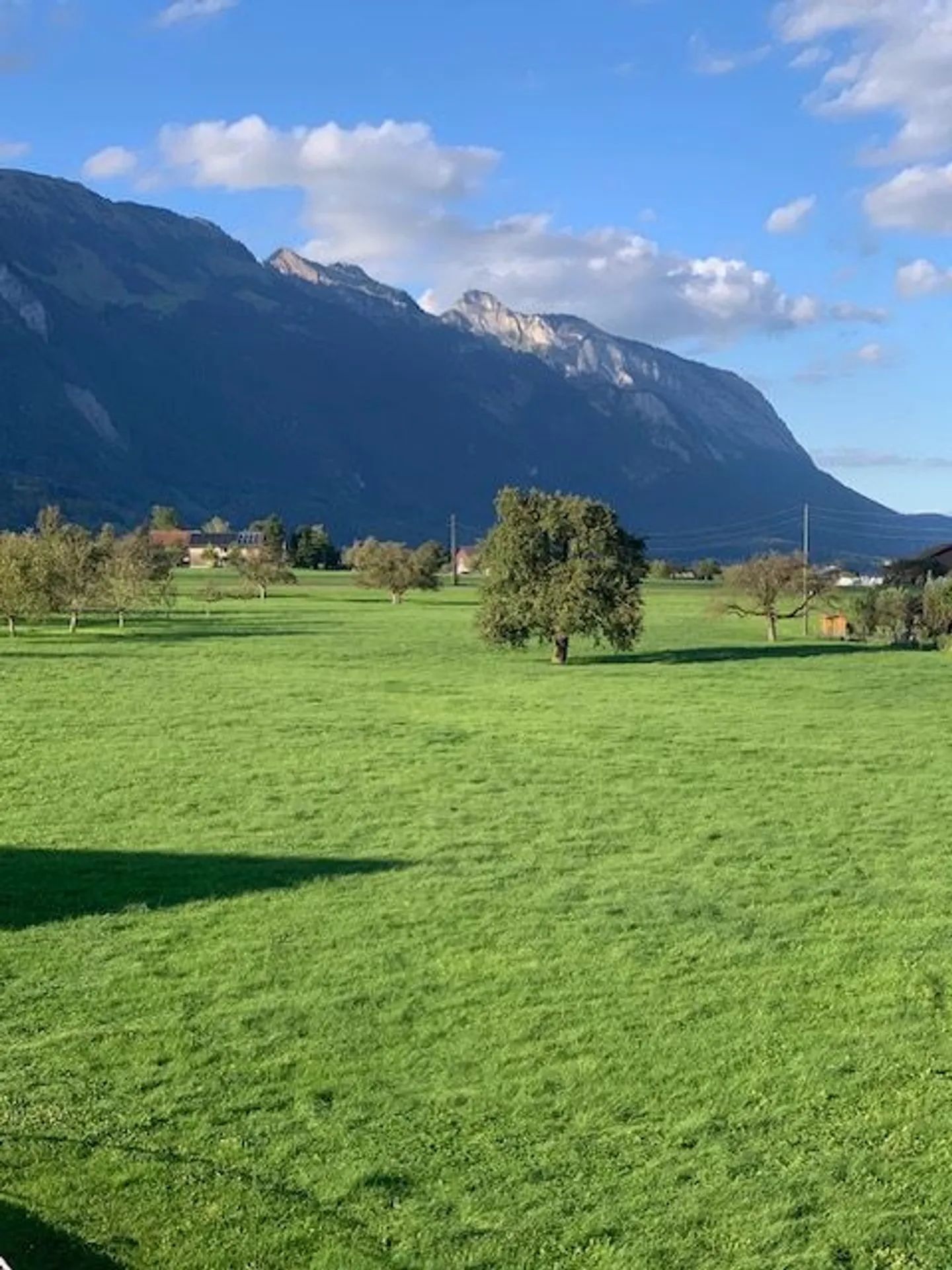 4.5-Zimmer-Wohnung - Foto 10 di 12