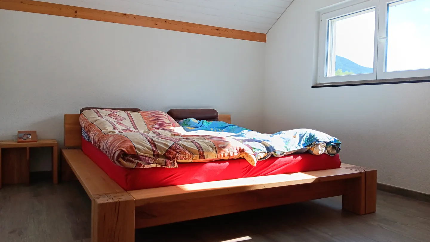 Magnificent mixed-use building - Photo 4 of 12