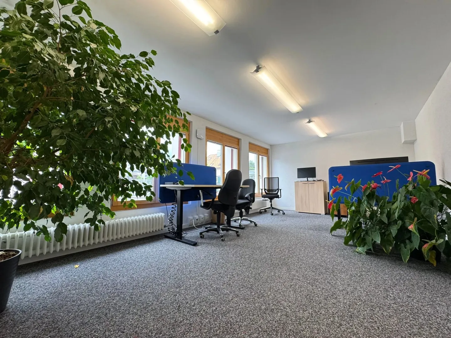 Bureaux modernes meublés - Photo 7 sur 13