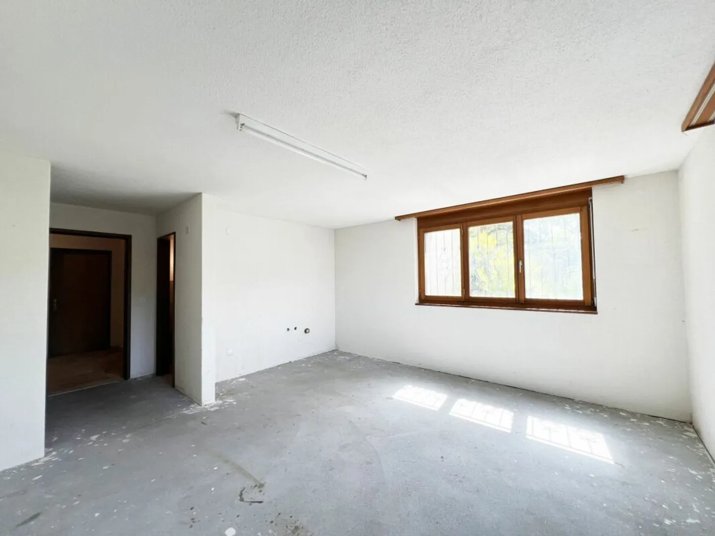 Detached single-family house with a granny flat - Photo 9 of 11