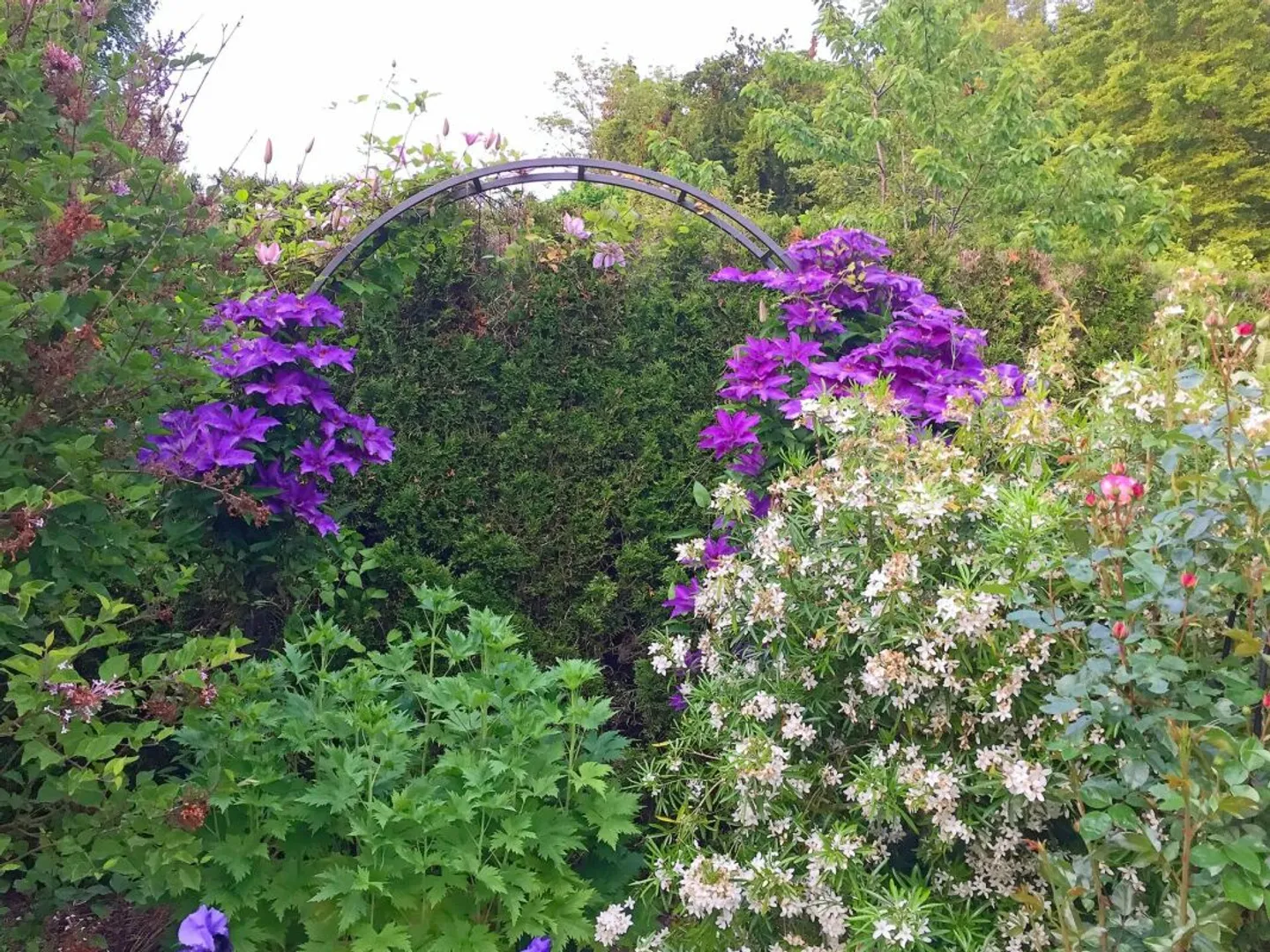 Charmantes Familienhaus mit Garten - Foto 12 von 13