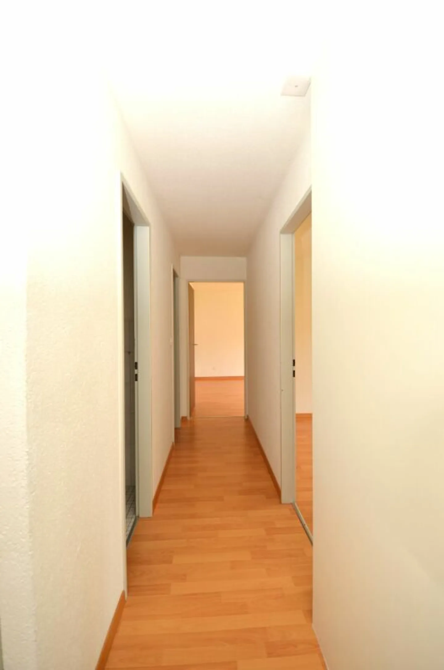 Felice di tornare a casa - Foto 5 di 12