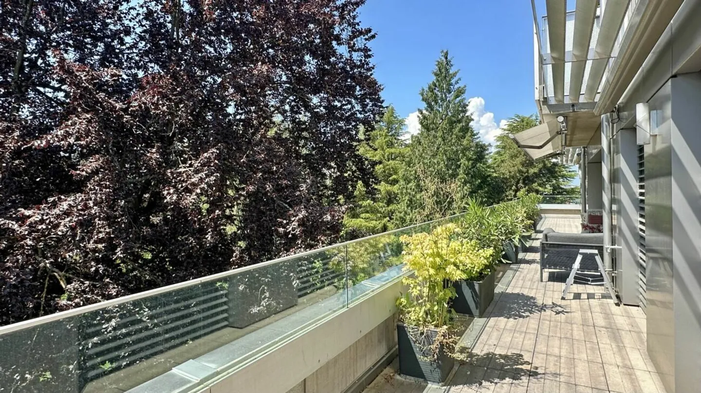 Magnificent apartment with terrace and view on the 5th floor - Photo 10 of 13