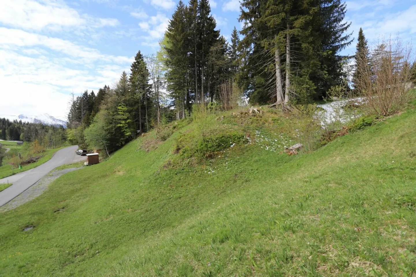 Prime Land Near Ski Area - Photo 1 of 3