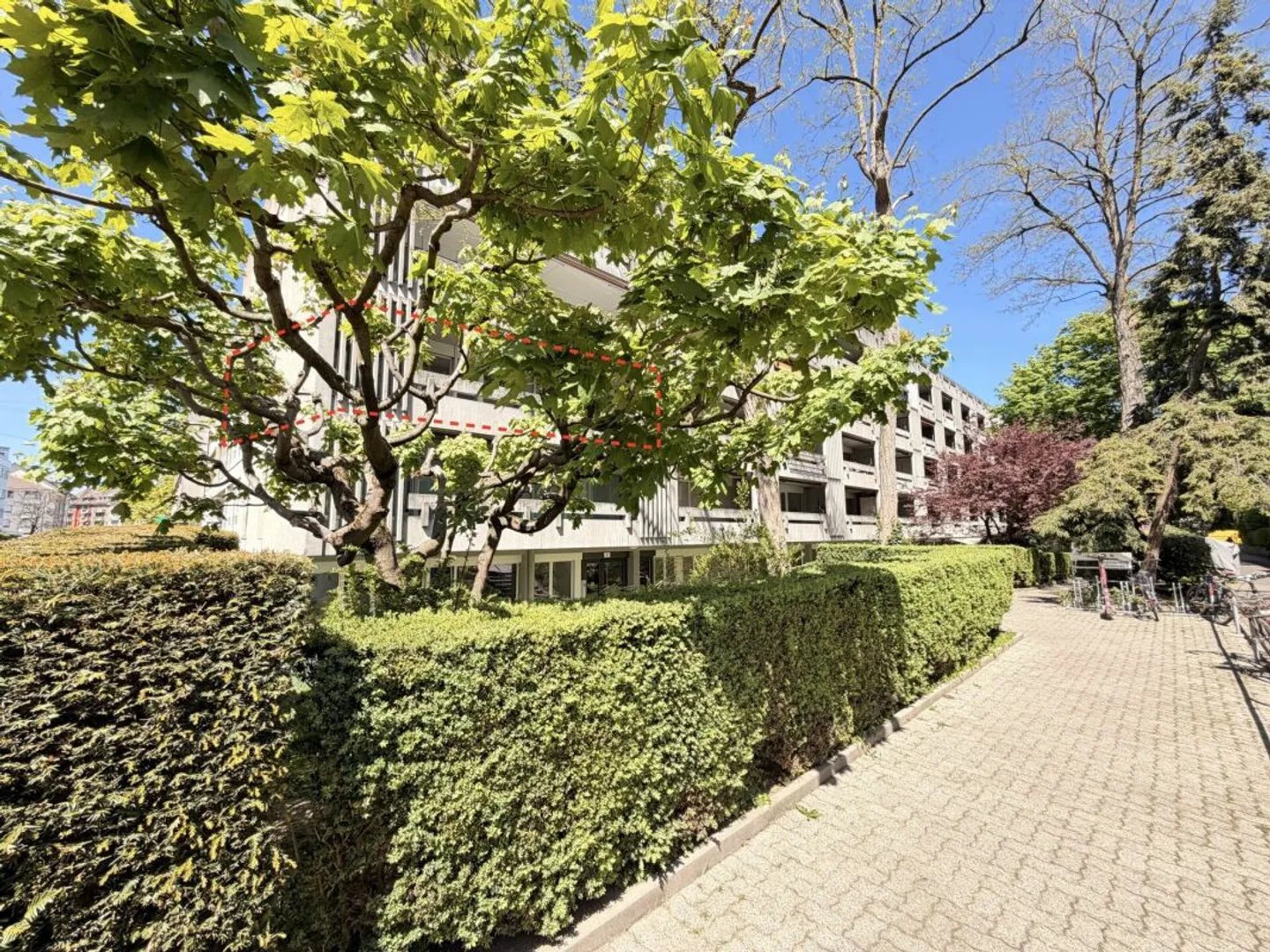 Appartement Charmant à Berne - Photo 1 sur 13