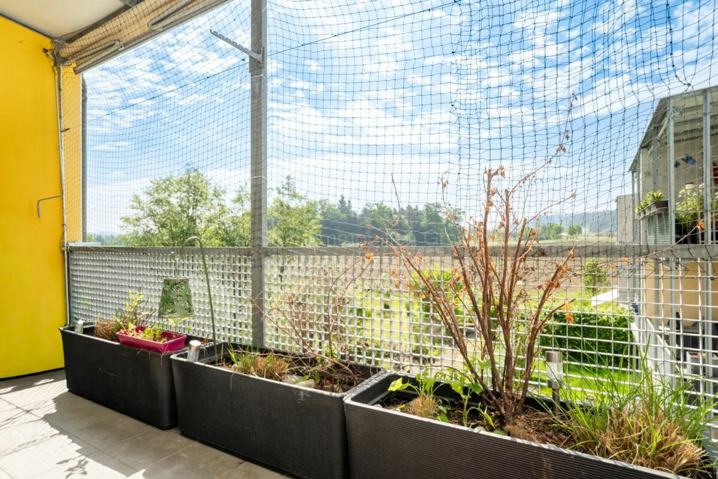 Charmante 4.5 Zimmer Wohnung - Foto 4 von 13