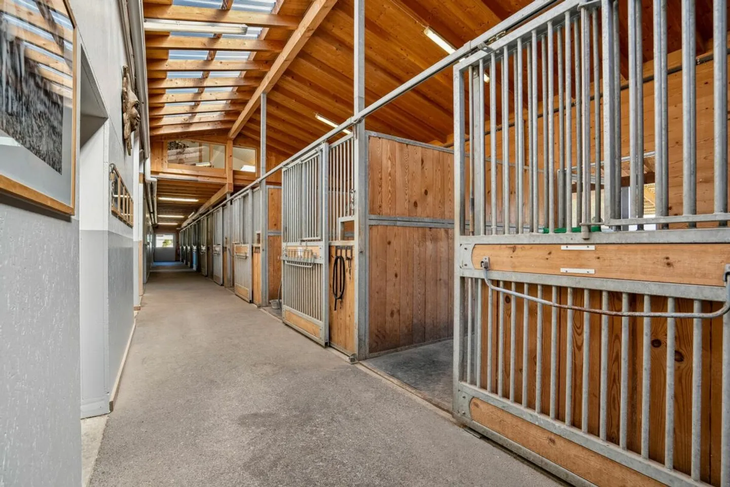 Versatile Equestrian Property with Residential House, Office Loft, and Semi-Covered Riding Arena - Photo 5 of 8
