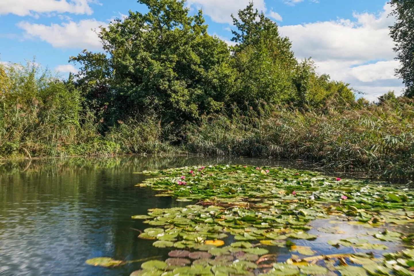 Villa pour esprits libres et artistes de la vie sur 10 000 m² entre Zurich et Zug - Photo 6 sur 13