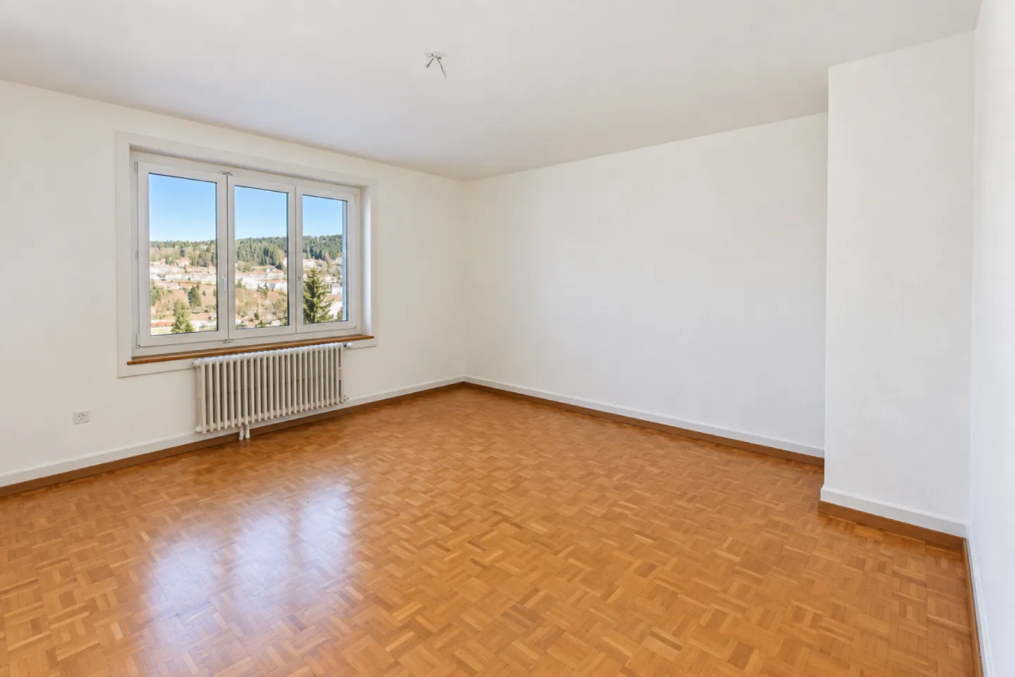 Large 4.5-room apartment - Photo 6 of 10