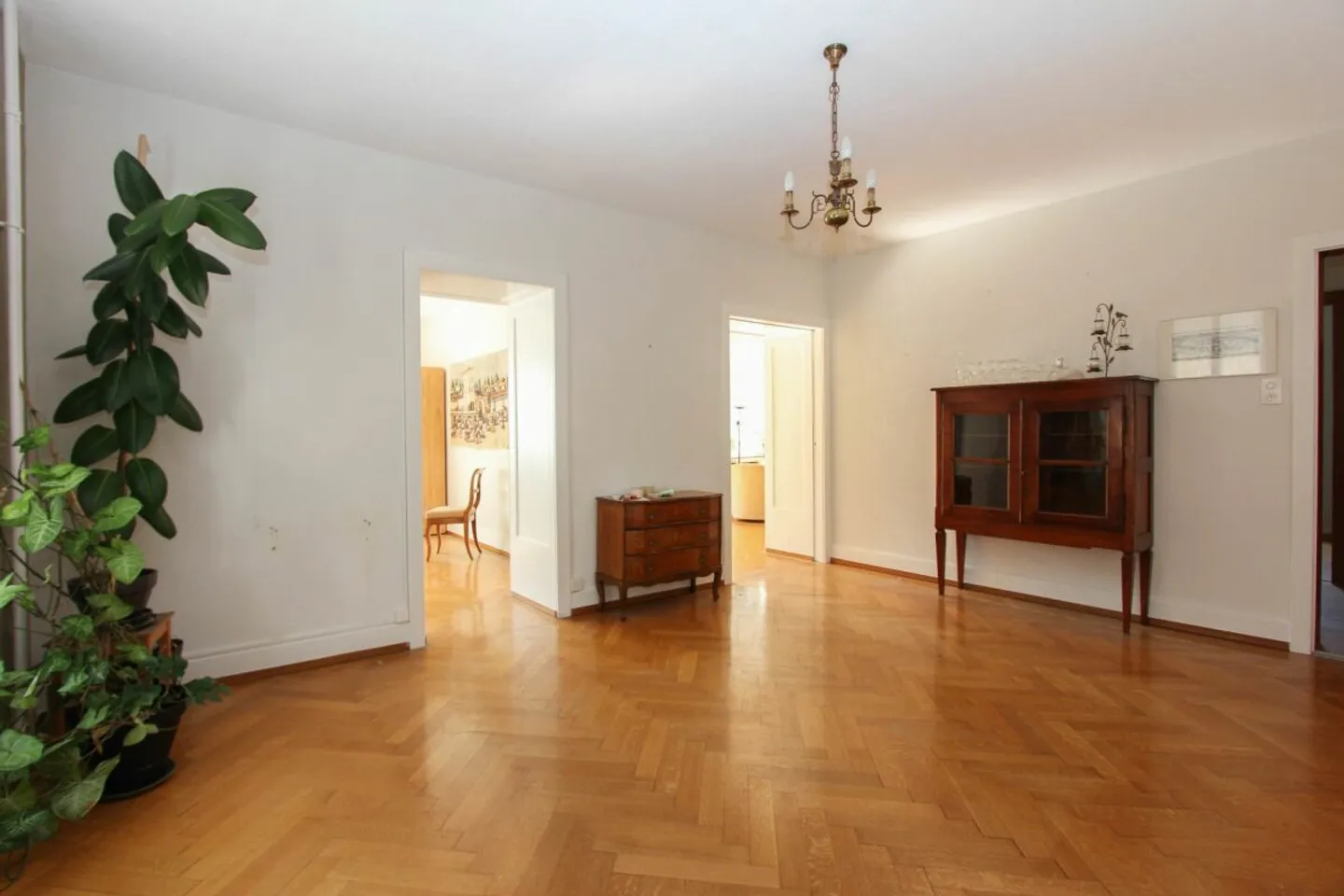 Grande appartamento redditizio in una villa con giardino - Foto 5 di 13