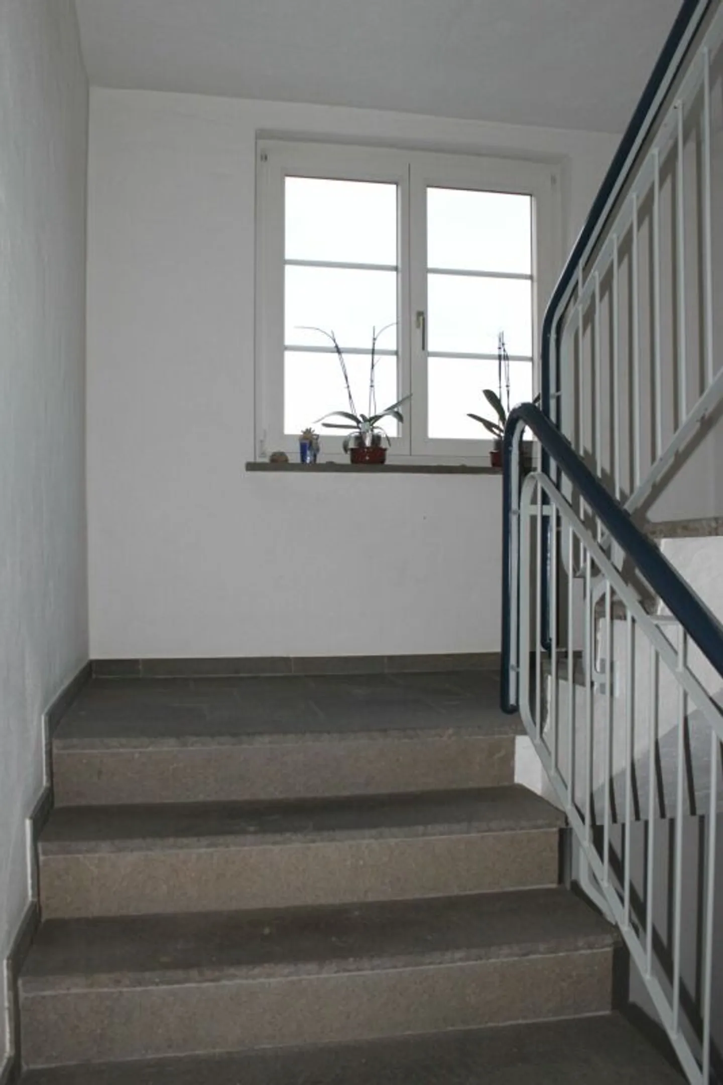 Charming investment property in prime central location - Photo 12 of 13