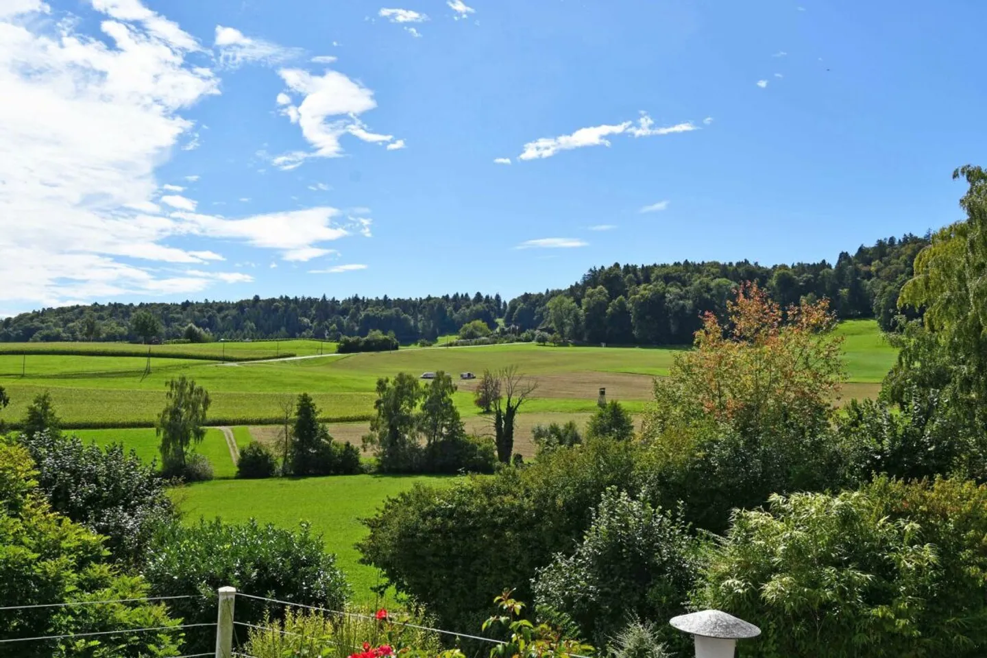 Well-maintained 5.5-room single-family house with beautiful garden - Photo 2 of 13