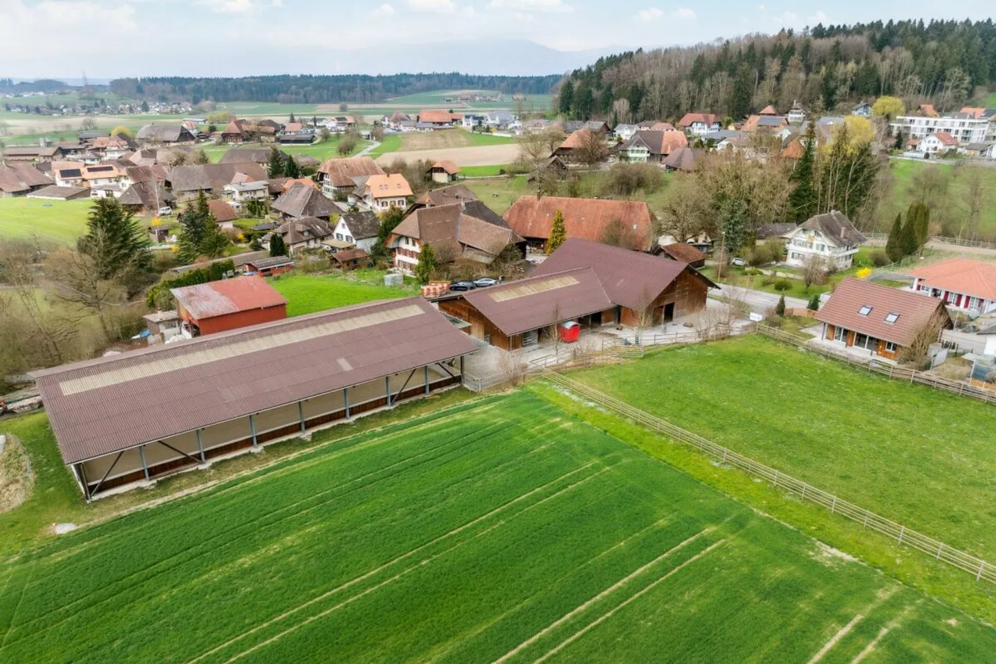 Proprietà equestre con casa - Foto 4 di 13