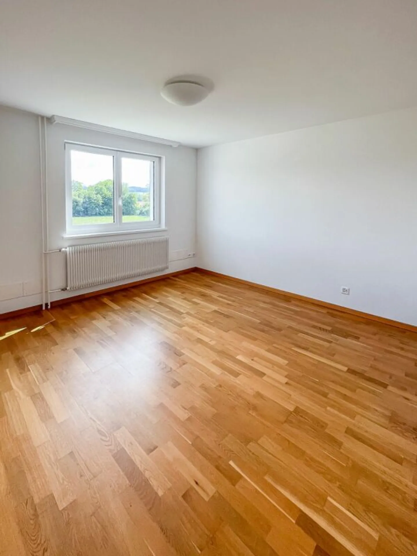 Bright apartment in the green with a large balcony - Photo 12 of 13