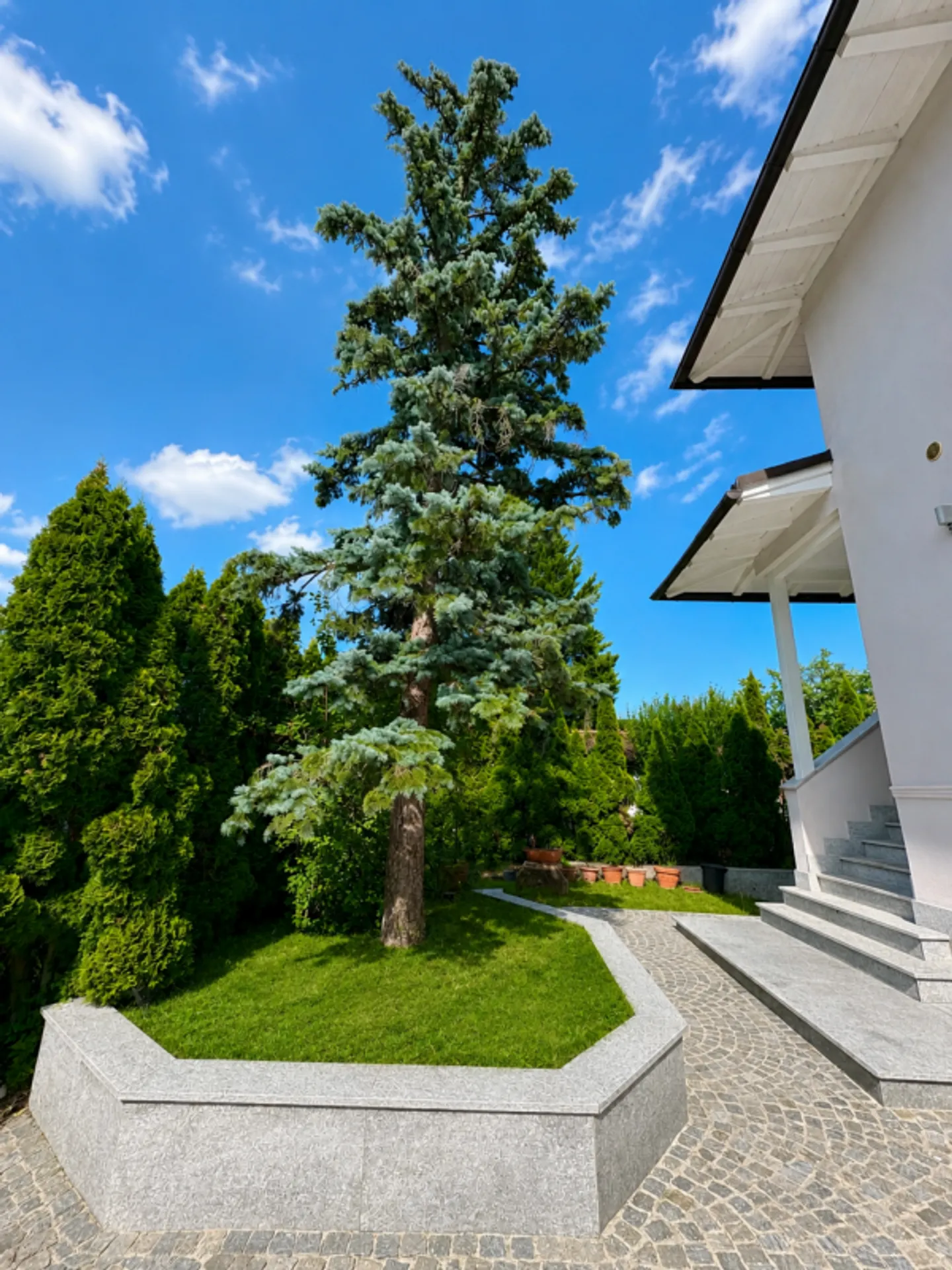 Villa Familiare Elegante a Chambésy - Foto 5 di 13