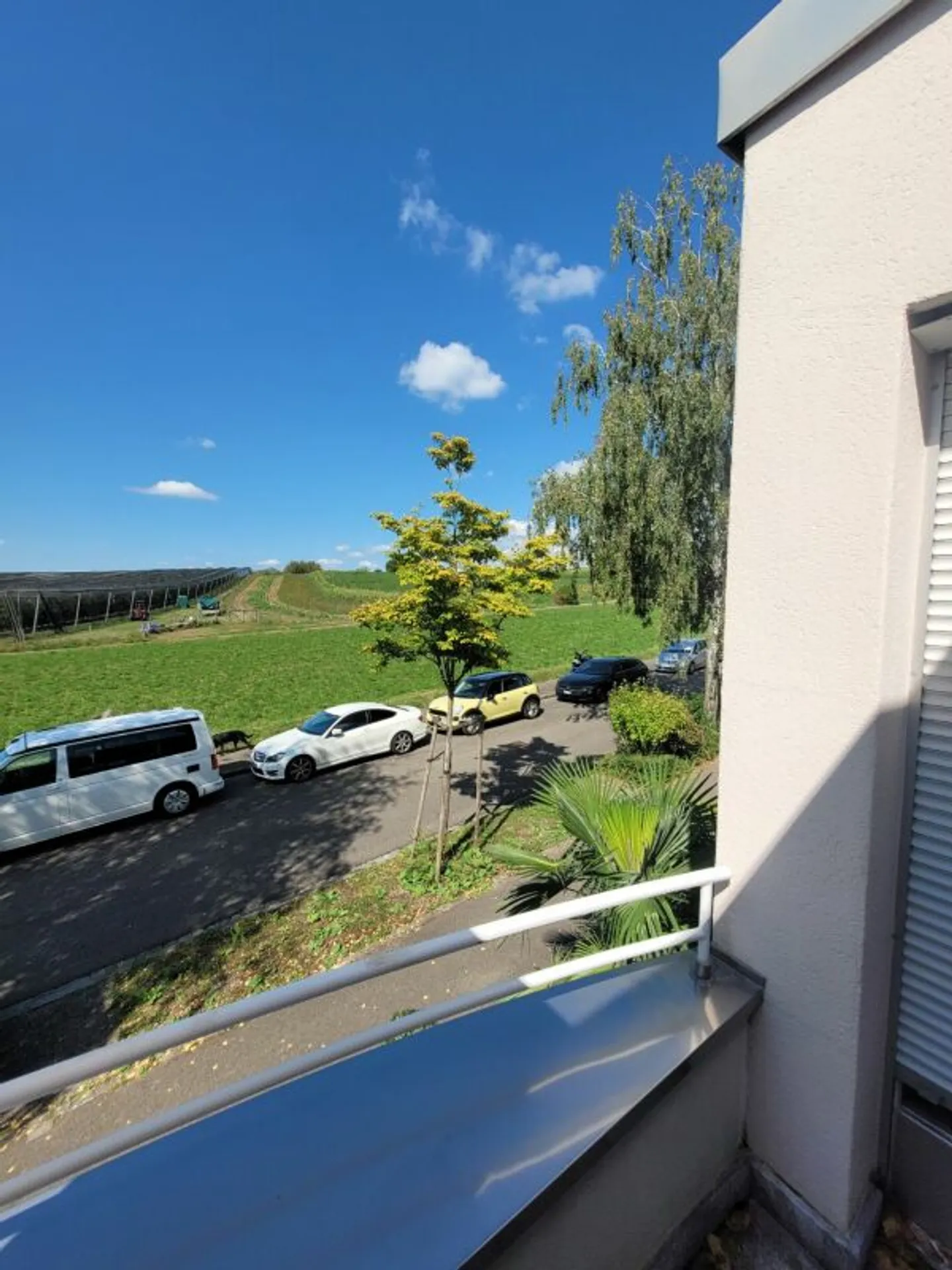 Charmantes Familienhaus in Riehen - Foto 9 von 10