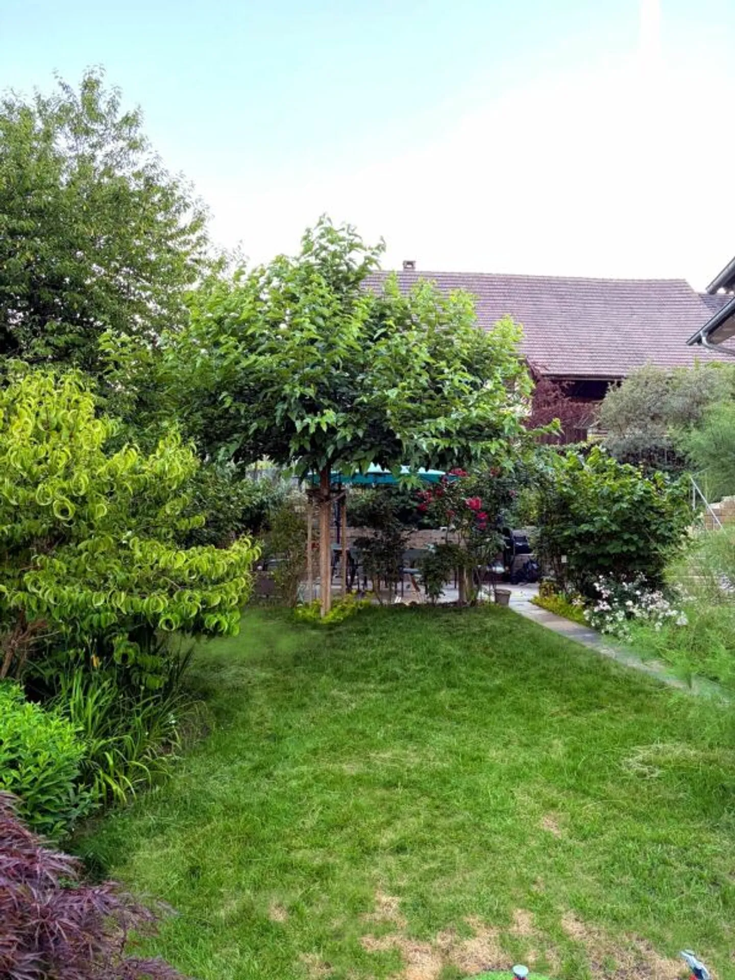 Exclusive New Villa with Designer Kitchen - 35 Min. from Zurich - Photo 5 of 6