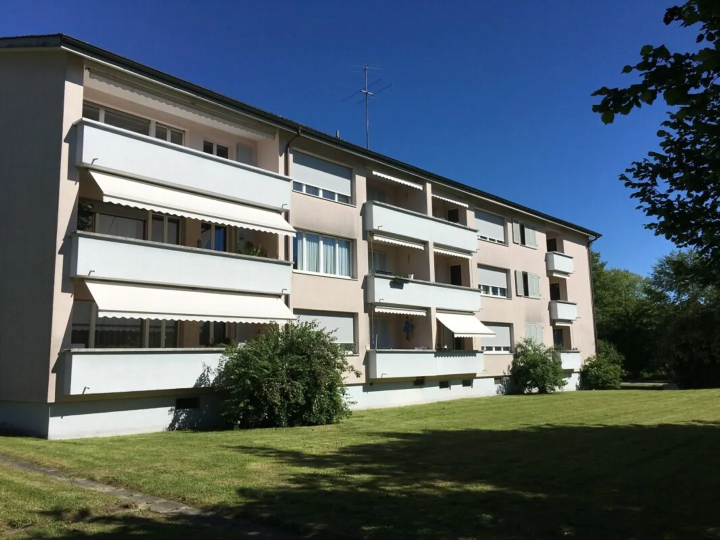 Sonnige 2.5-Zimmer-Wohnung in Hirschthal - Foto 1 von 5