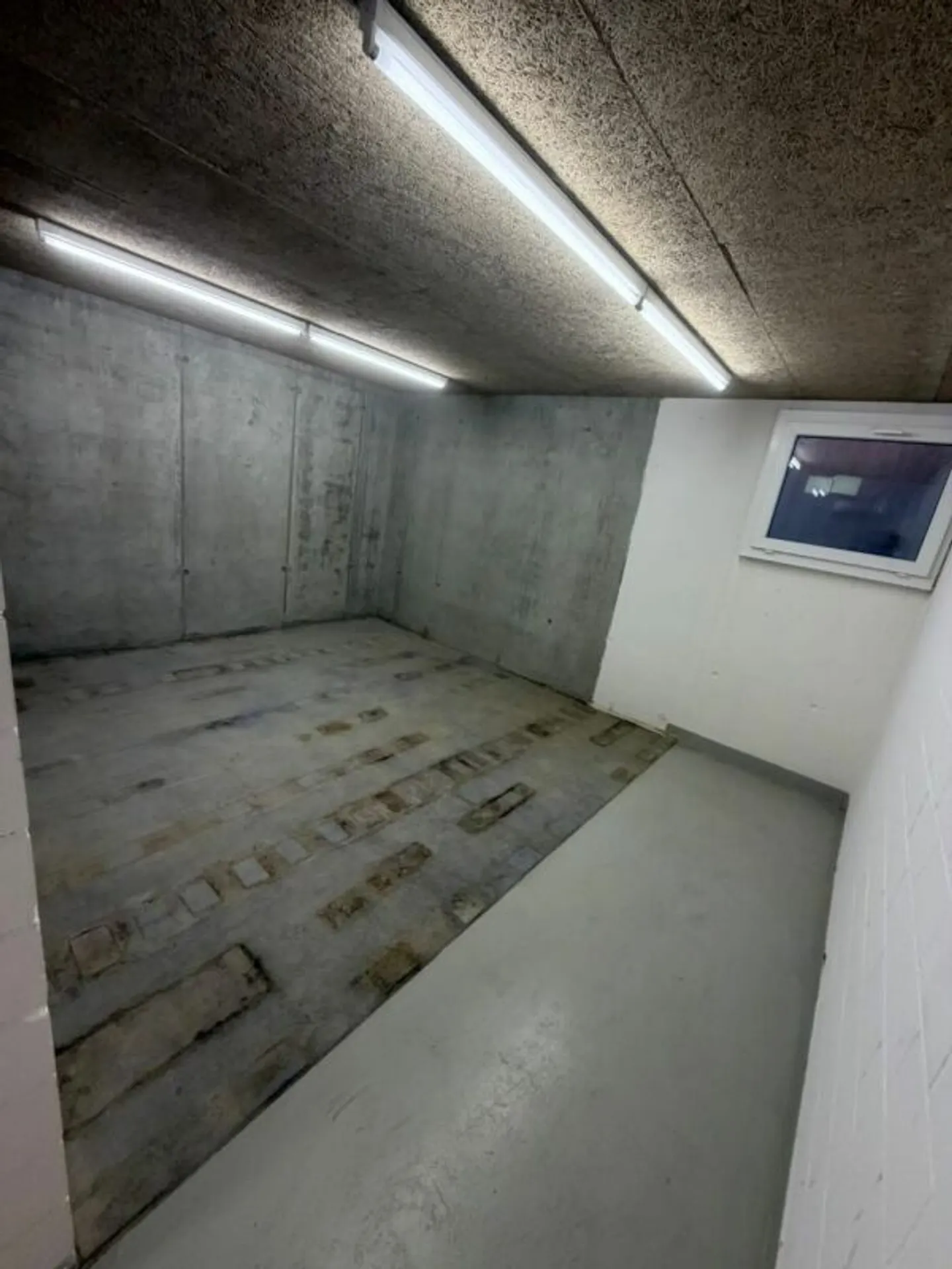 Storage Room - 53m2 - Photo 4 of 7