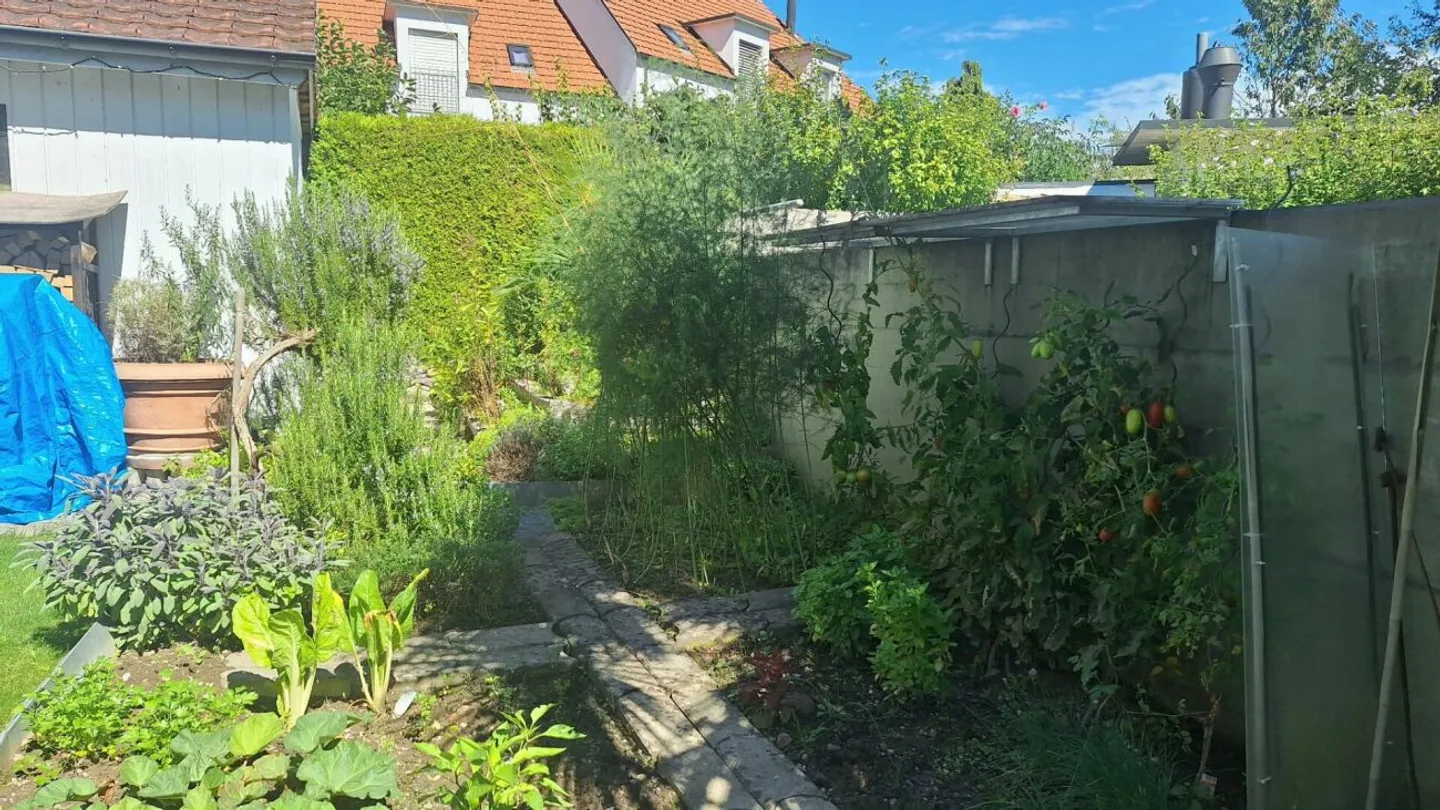 Ferienfeeling zu Hause erleben? Modernes 6.5-Zimmer-Reiheneckhaus mit fantastischem Garten, Waldanschluss in ruhiger Lage Dietikon - Foto 3 von 13
