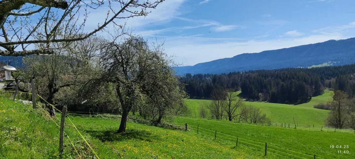 Charmantes Jurahaus mit Potenzial - Foto 4 von 8