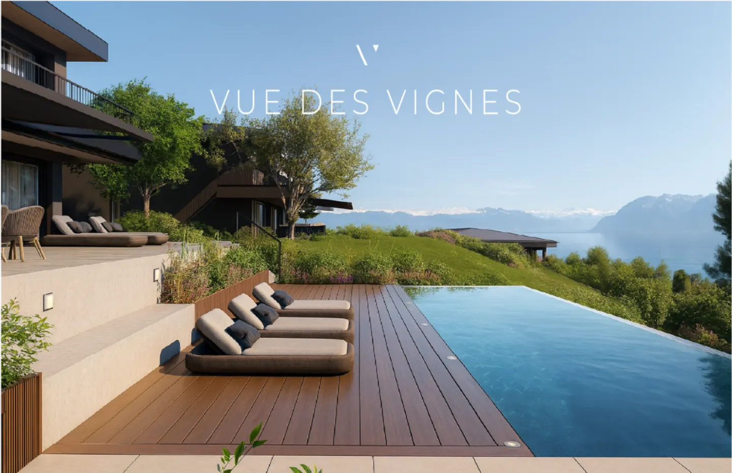 View of the Vines - Photo 1 of 6