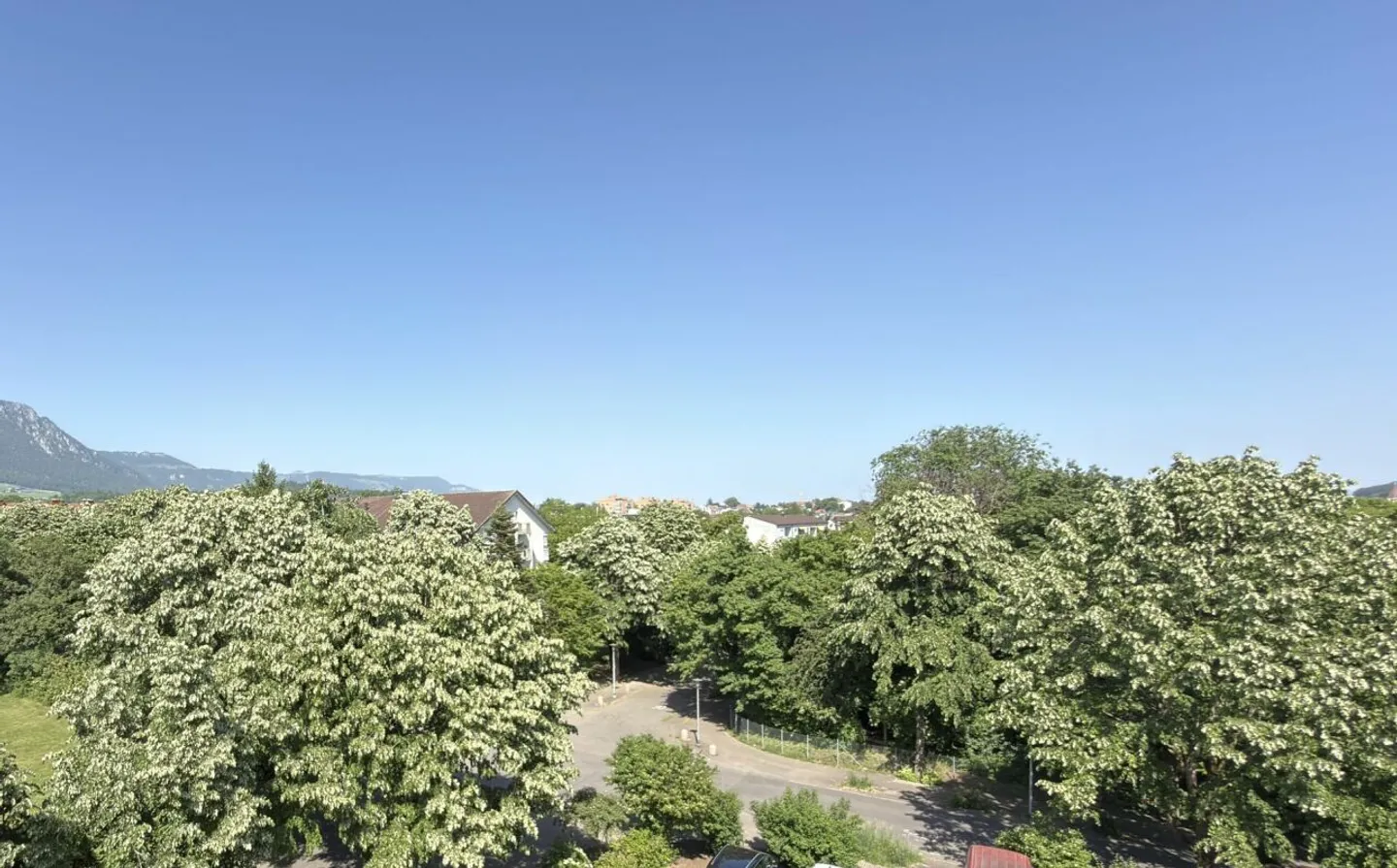 A renovated and bright 3.5 room apartment in a quiet location in Solothurn - Photo 4 of 13