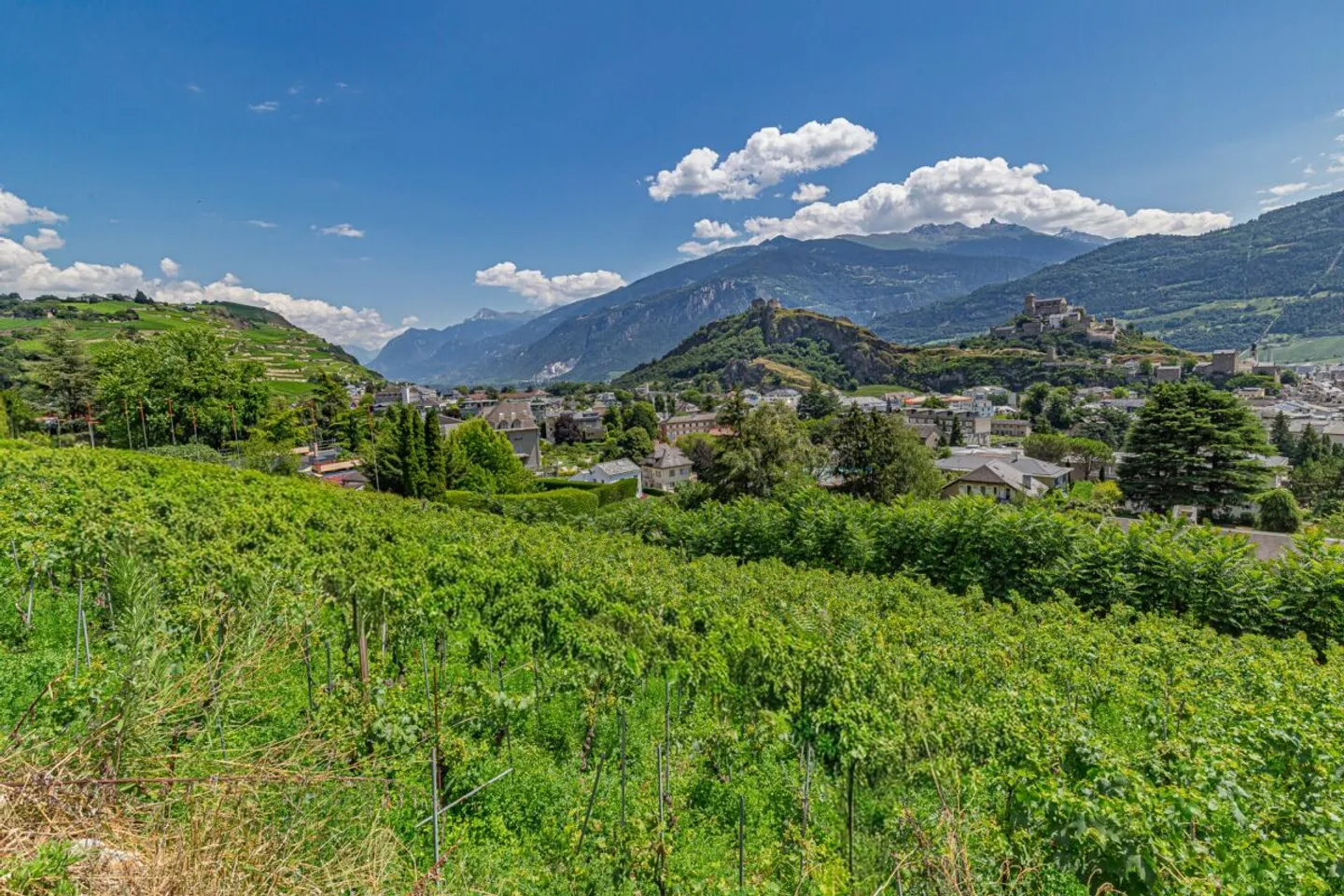 Building plot, free of mandate! - Photo 1 of 4