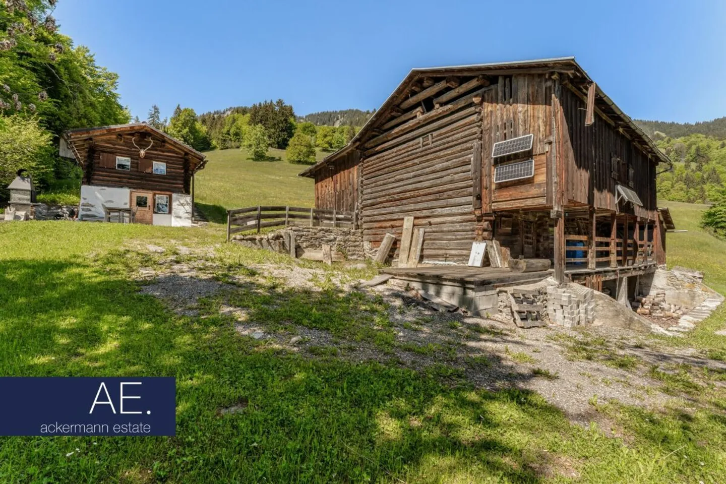 Alpine Cabin in the Midst of Vast Mountain Meadows - Photo 11 of 11