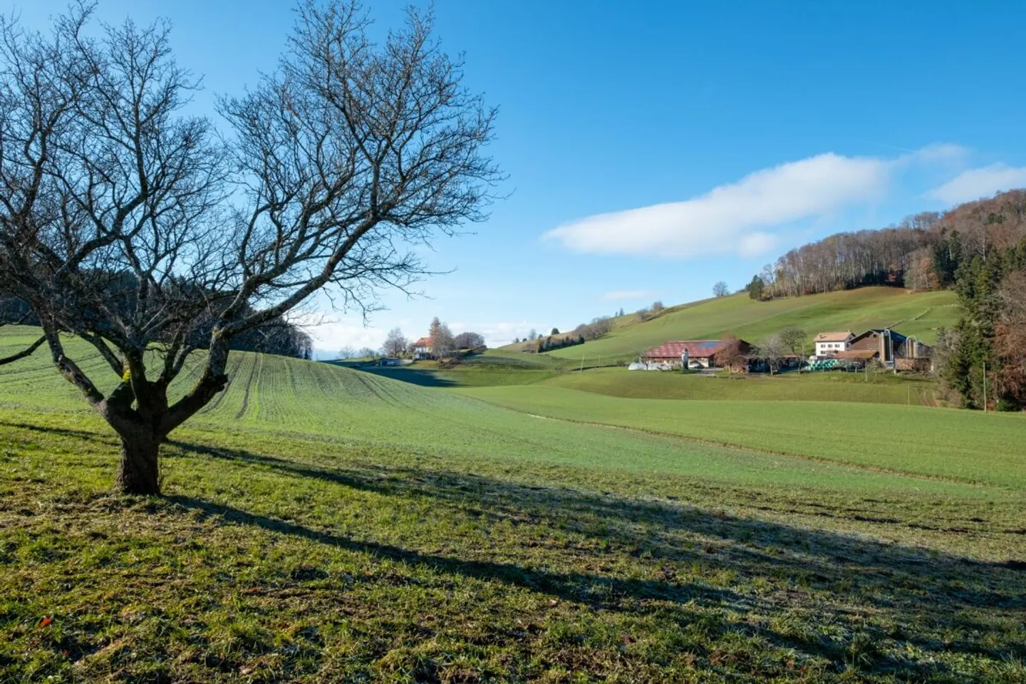 Die Häuser von Forel - Villa B - Foto 11 von 13