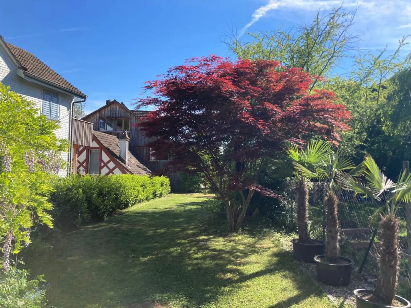 Ampio appartamento d'epoca con giardino nella città vecchia di Weinfelden - Foto 12 di 13