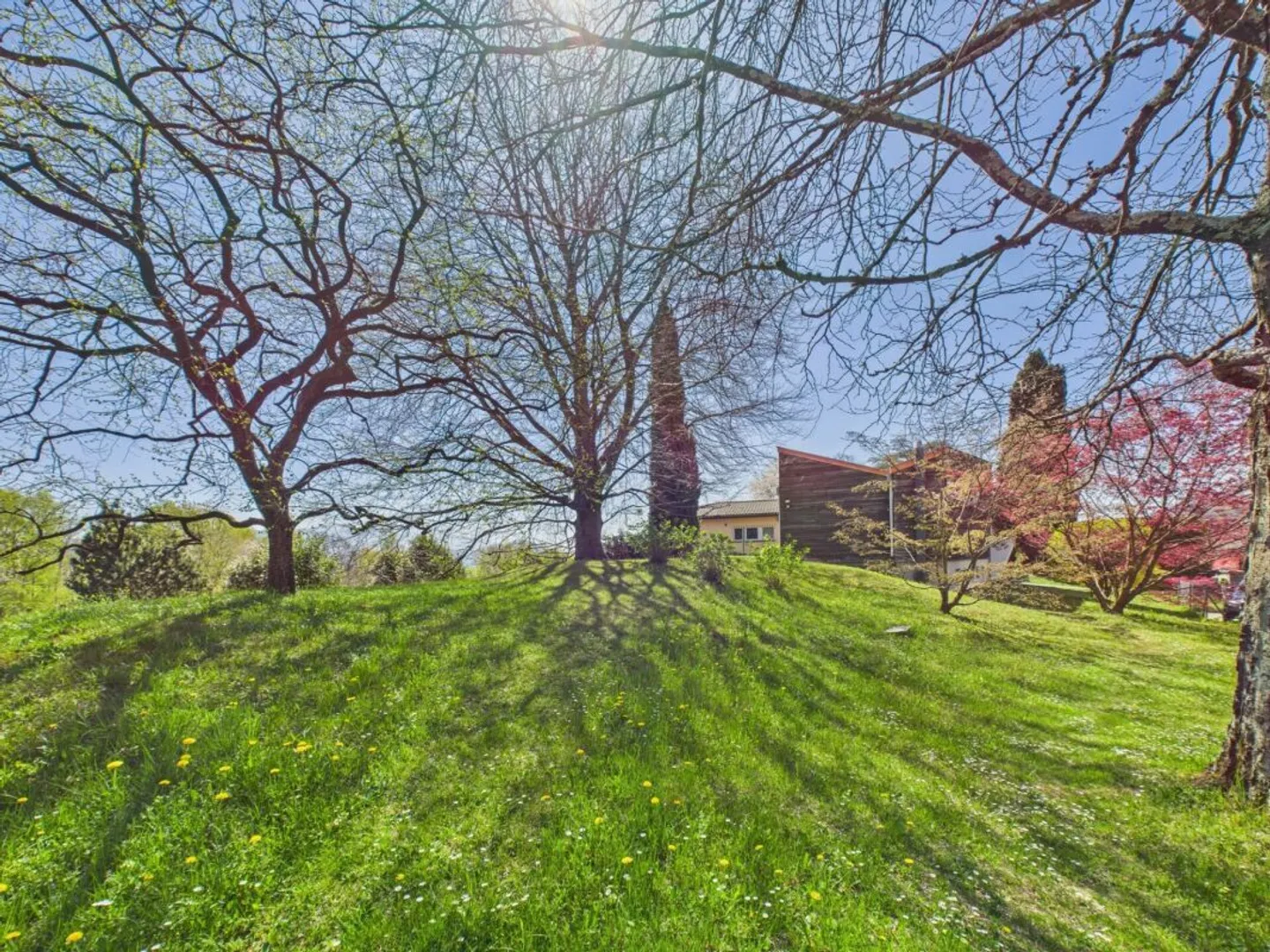 Build Your Dream Home in Nature - Photo 8 of 10