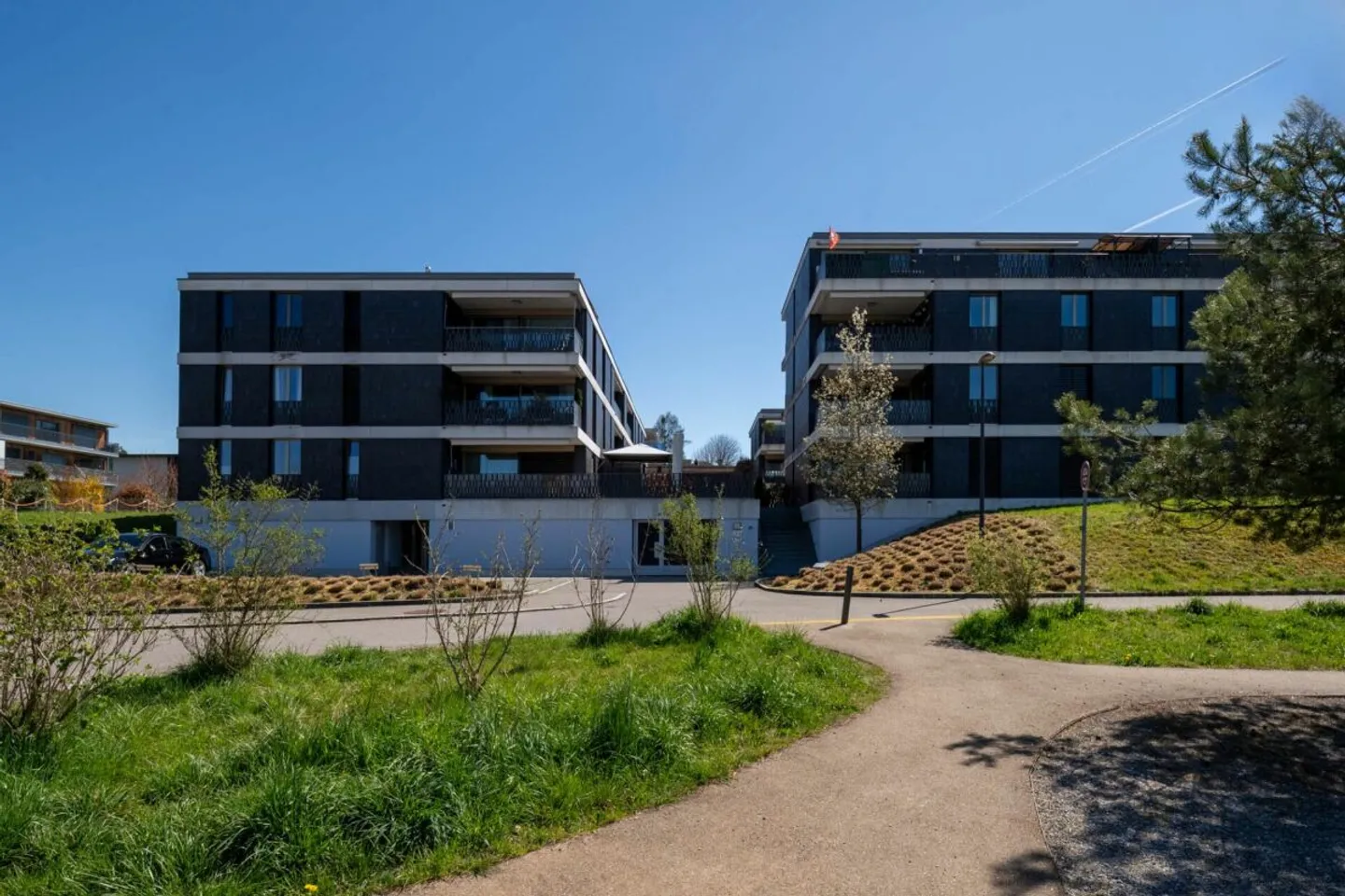 Living at the edge of the forest with a view and evening sun - Photo 12 of 12
