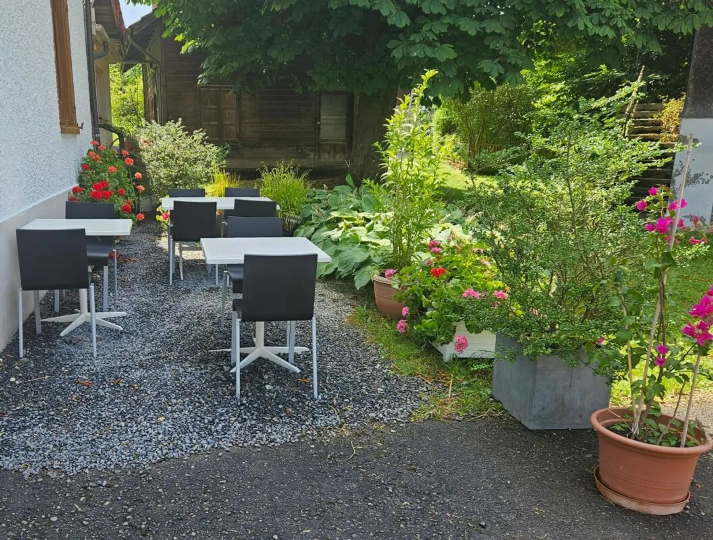 Startklare Pizzeria mit allem was dazu gehört - Foto 7 von 8