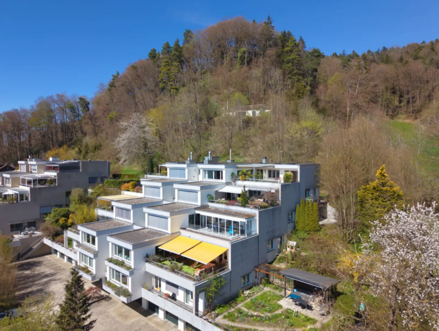 Nature, Paix et Soleil - Vivre sur l'Üetliberg avec une Terrasse Impressionnante - Photo 11 sur 11