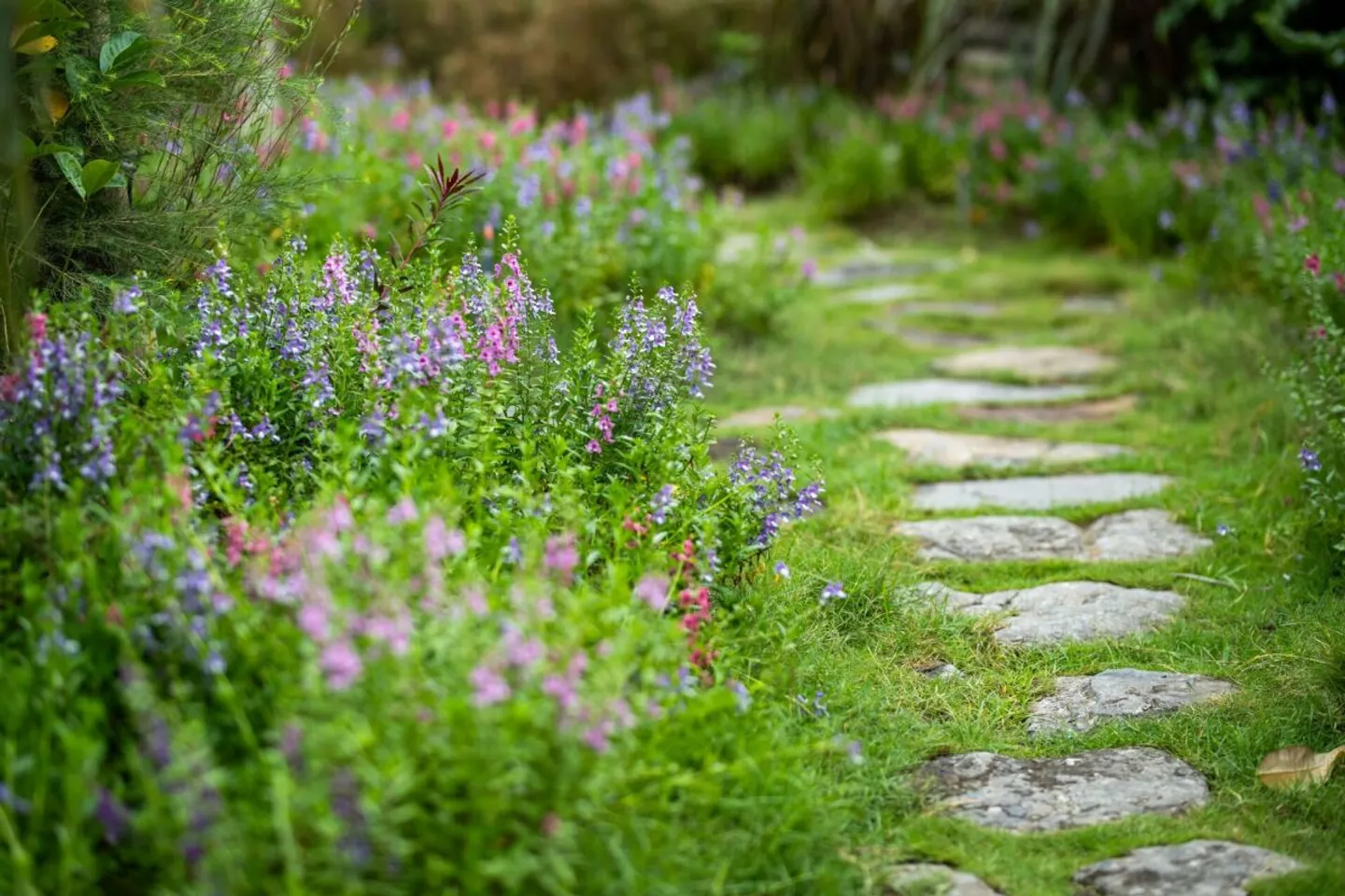 Maison rénovée avec jardin - Photo 1 sur 5