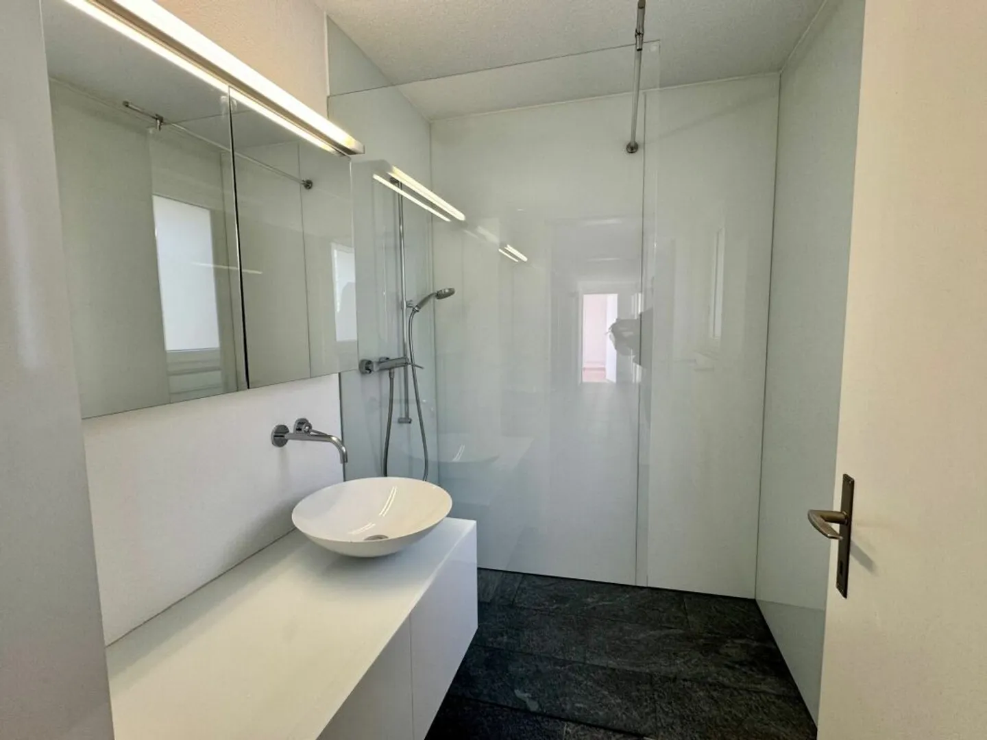 Natura, Pace e Sole - Vivere sull'Üetliberg con una Terrazza Imponente - Foto 6 di 13