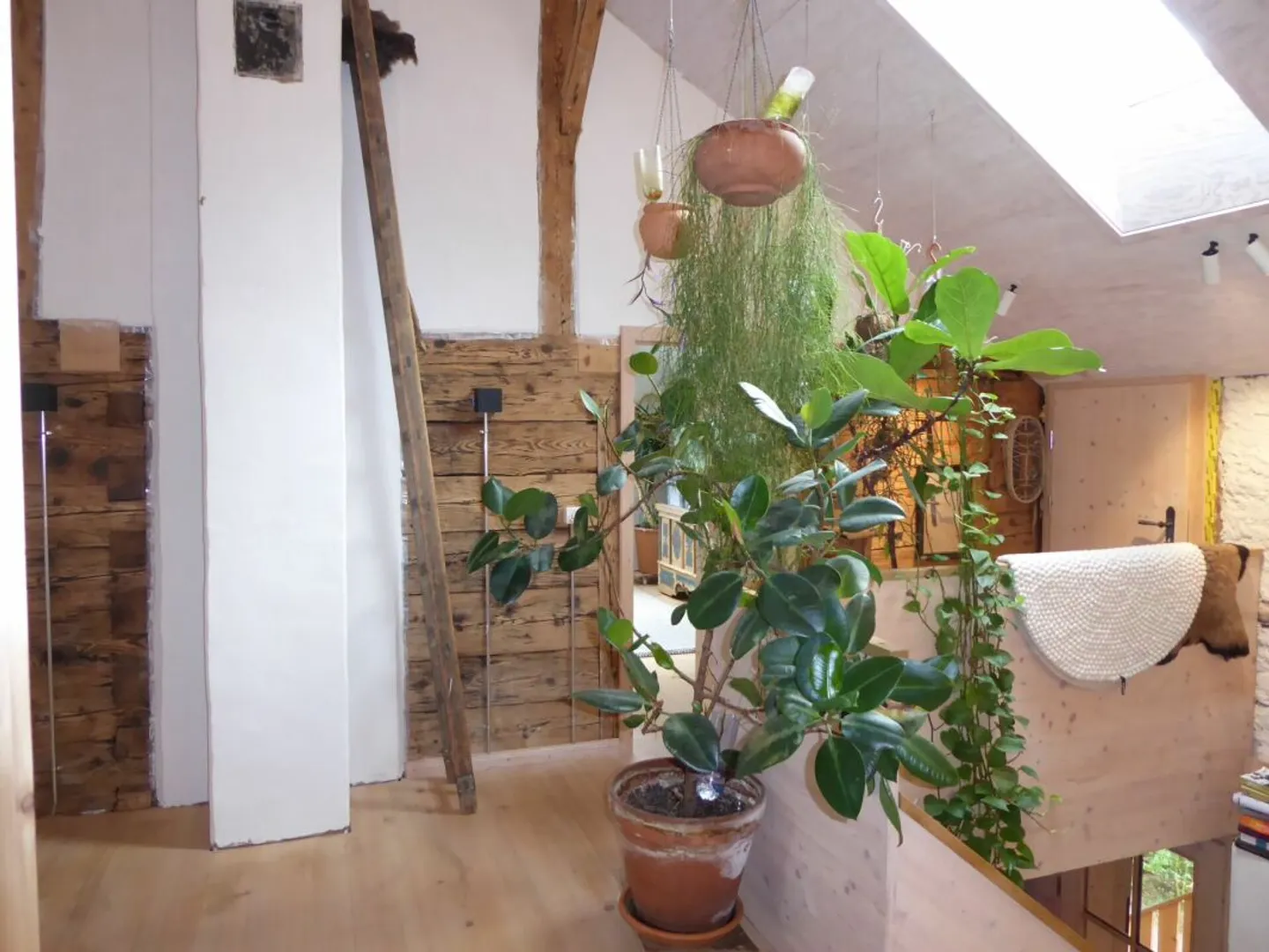 Casa unifamiliare di 5 locali con annesso capannone e ampio giardino - Foto 9 di 13