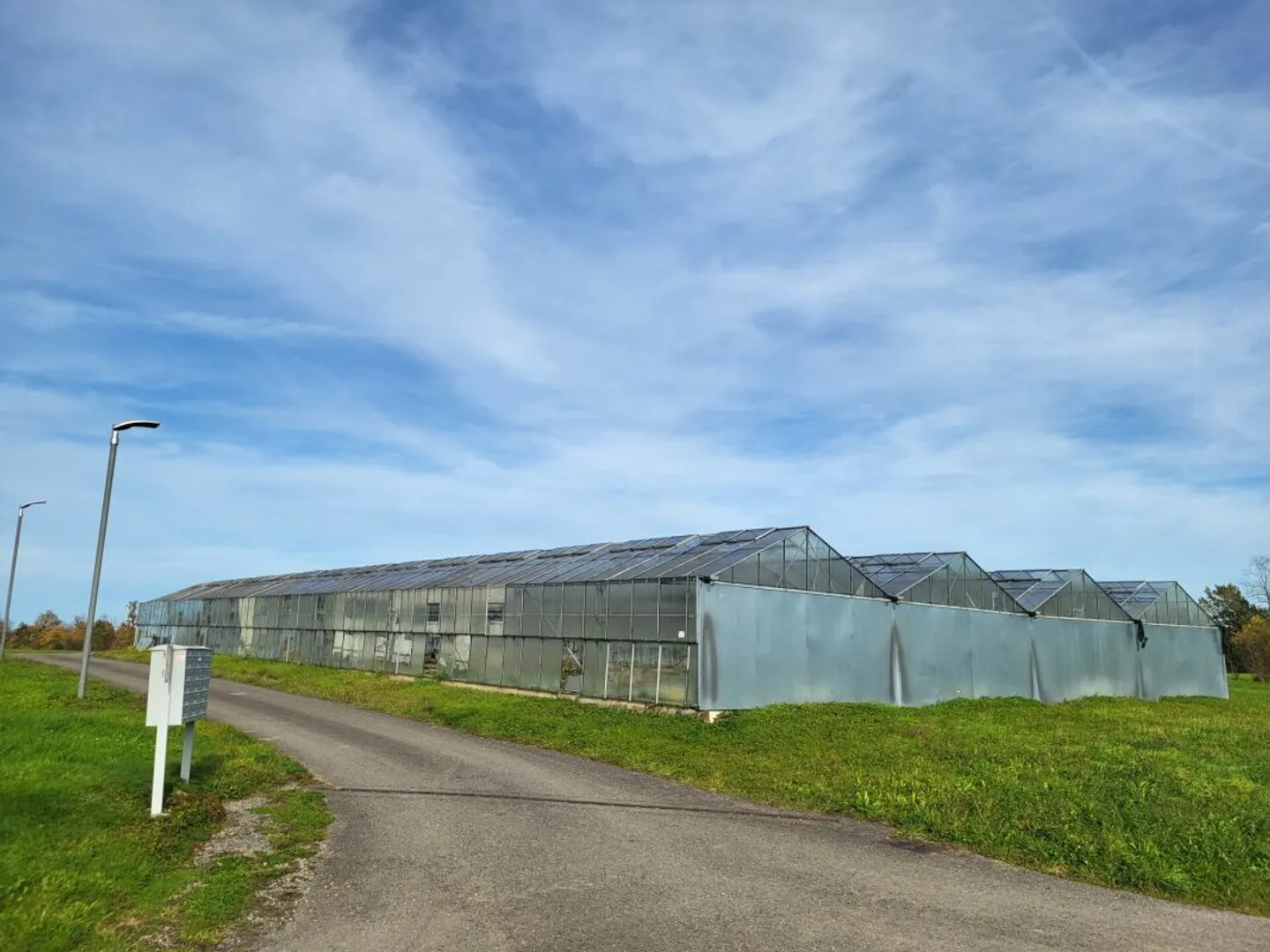 Large Greenhouses near Arbon - Photo 7 of 7