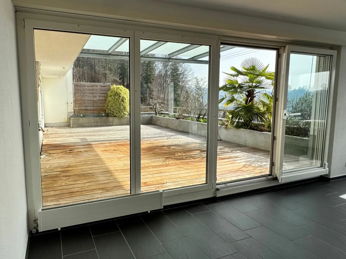 Natura, Pace e Sole - Vivere sull'Üetliberg con una Terrazza Imponente - Foto 7 di 13