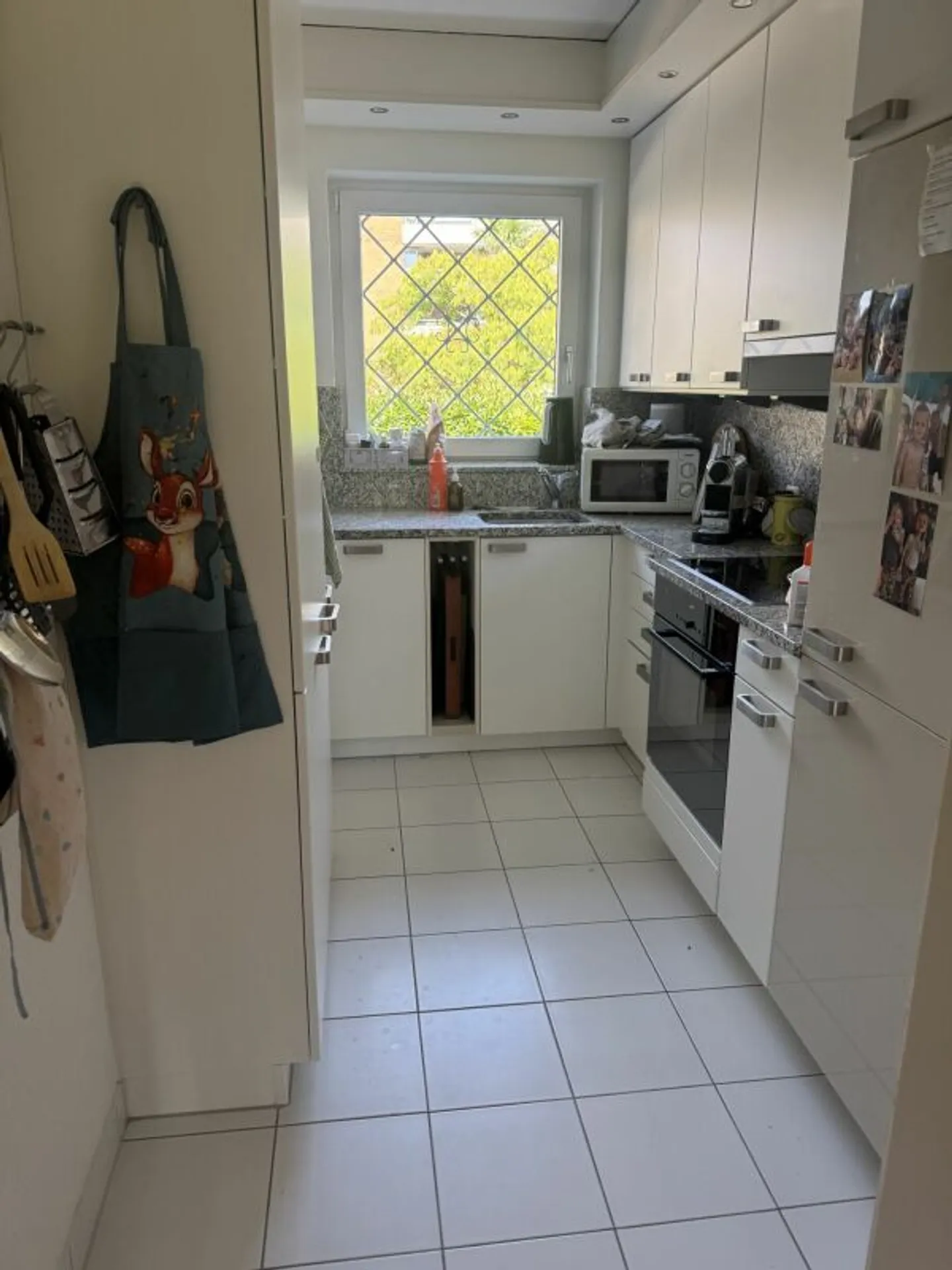 Appartement spacieux de 4,5 pièces avec accès direct au lac - Photo 5 sur 13