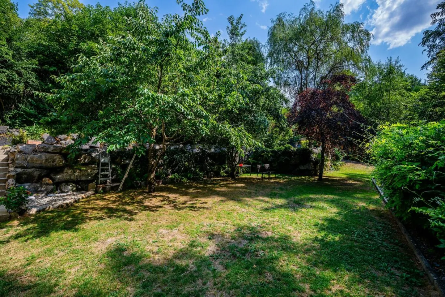 Propriété à vendre, Vucherens - Foto 7 von 13