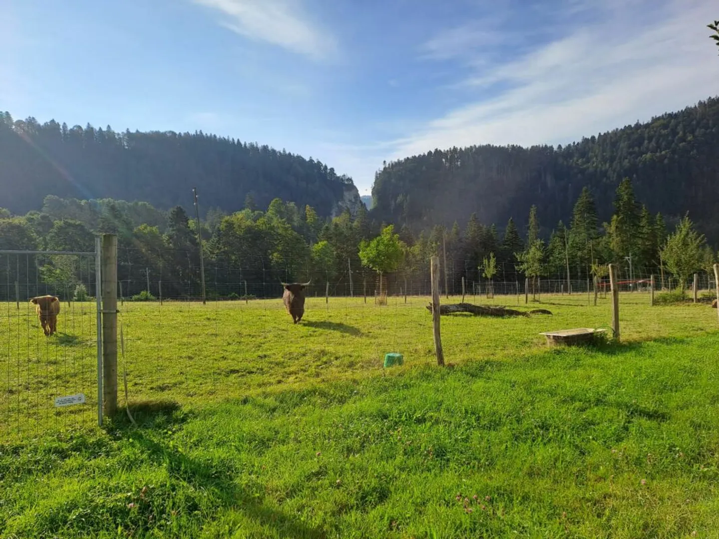 Studio duplex atipico - Fascino e autenticità ai Brenets - Foto 11 di 13