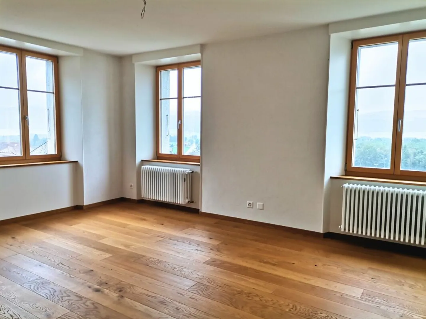 Superb 5-room apartment with unobstructed view - Photo 4 of 13