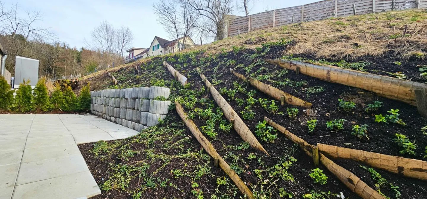 Gemütliche 2.5-Zimmer-Wohnung an ruhiger Lage - Foto 3 von 9