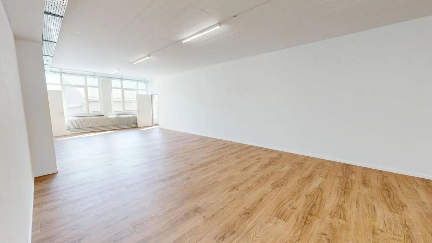 Two Attractive Rental Properties for Office, Studio and Commercial Use - Photo 6 of 13