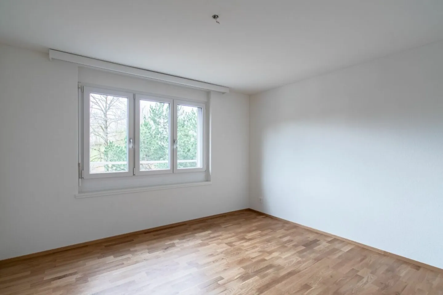 Attractive 4.5-room apartment in a sunny location with a separate office - Photo 5 of 12