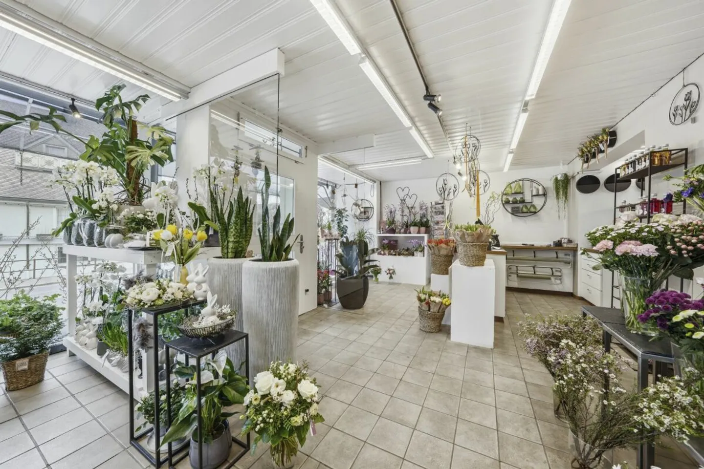 Commercial & Residential combined - ideal capital investment or owner-occupation - Photo 4 of 13