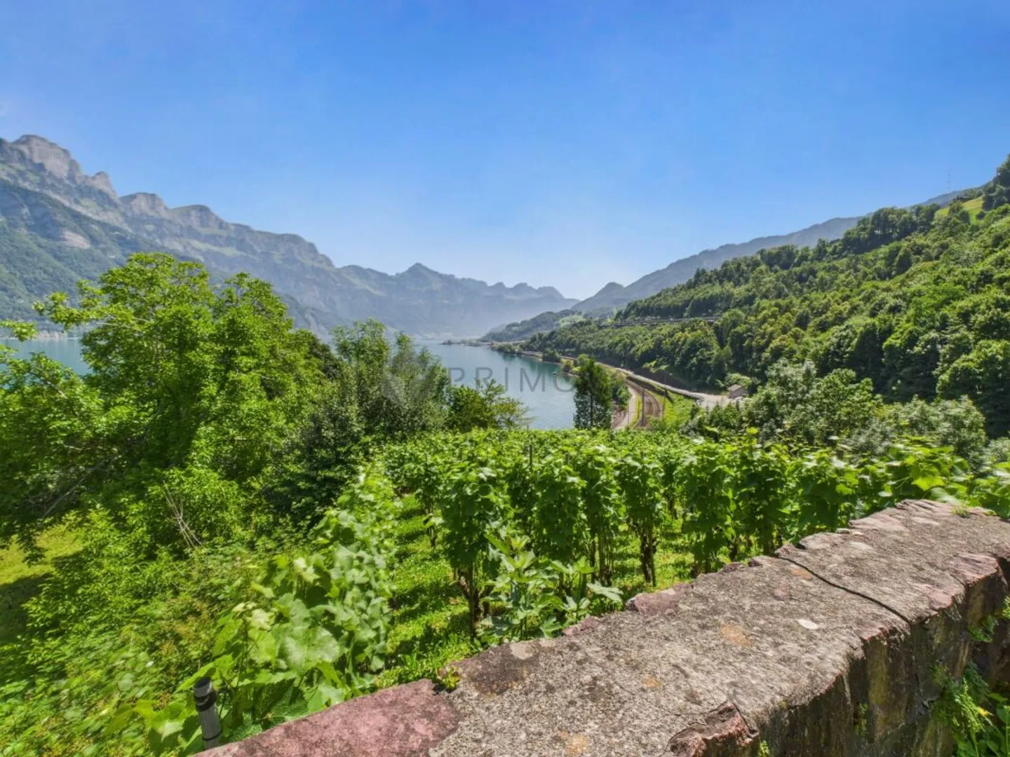 Hotel & Restaurant with Apartments, Vineyard and Building Land in Premium Location by Lake Walensee - Photo 10 of 13