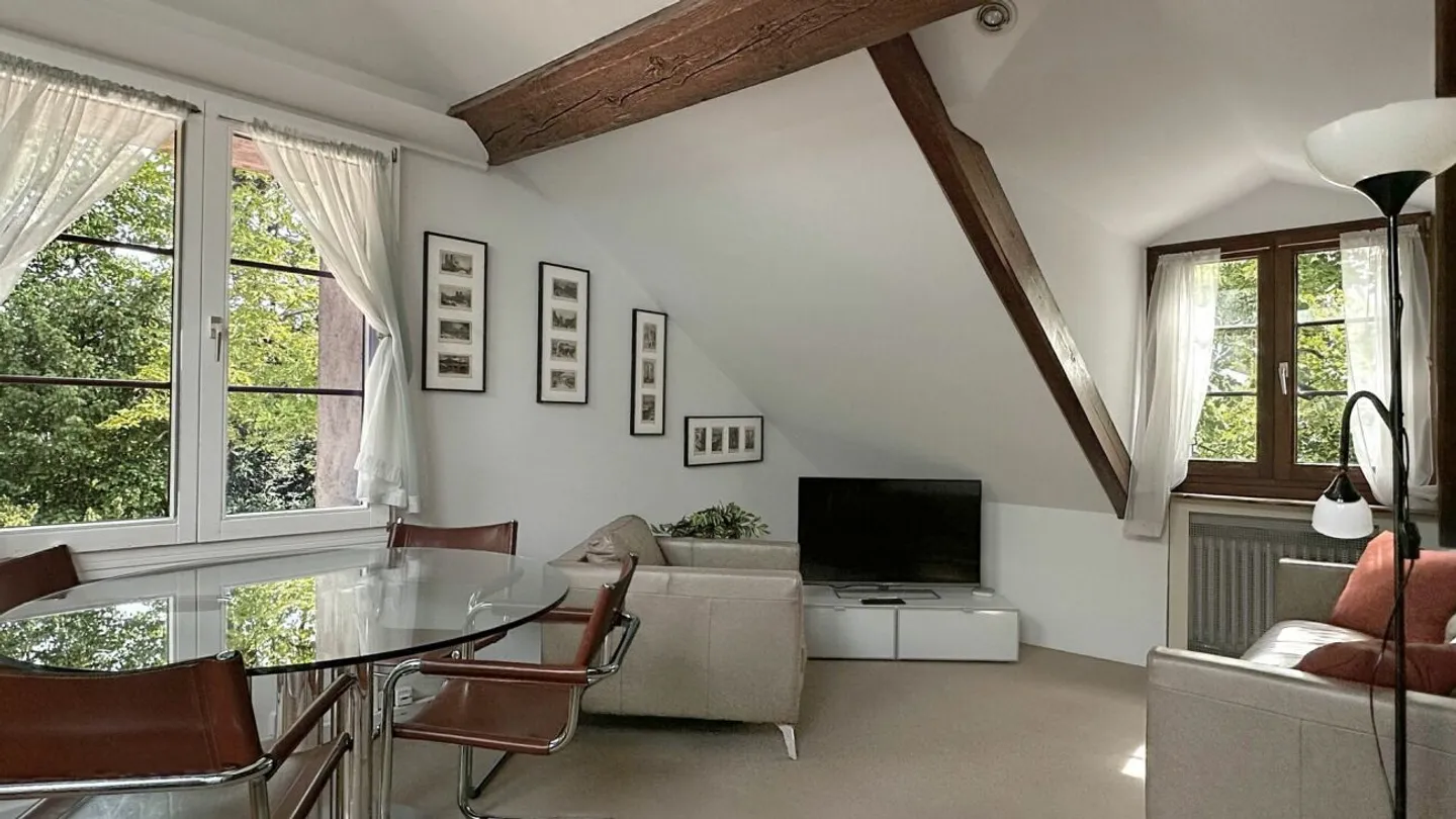 Charming furnished apartment on a private property - Photo 11 of 13